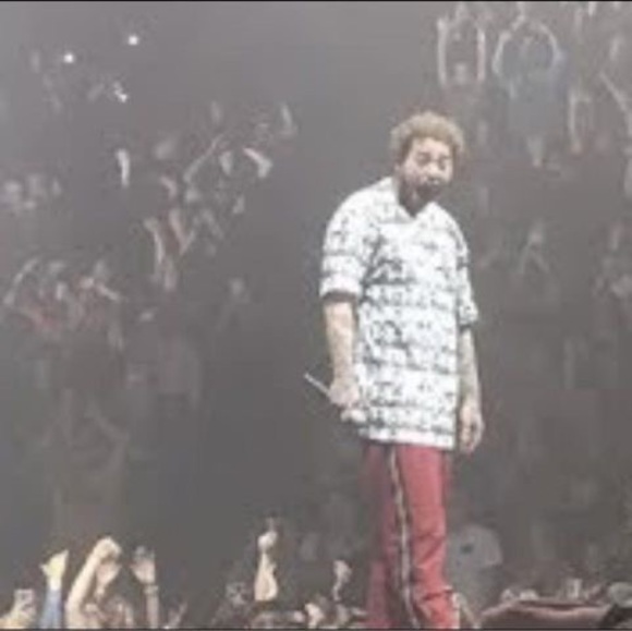 Meet your Posher, Autumn - Picture 1 of 1